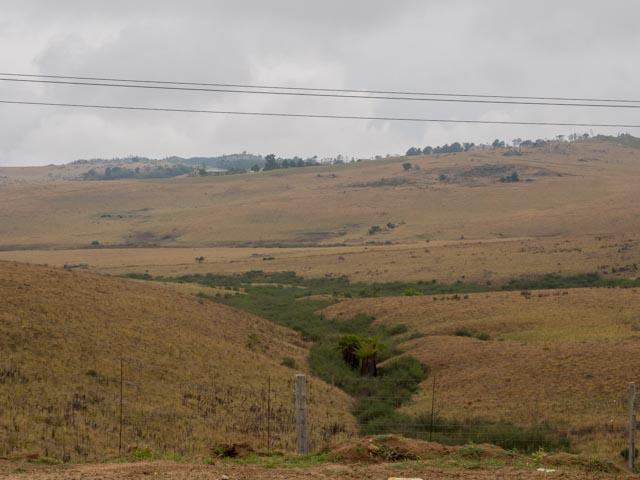JP_Hluhluwe-25
