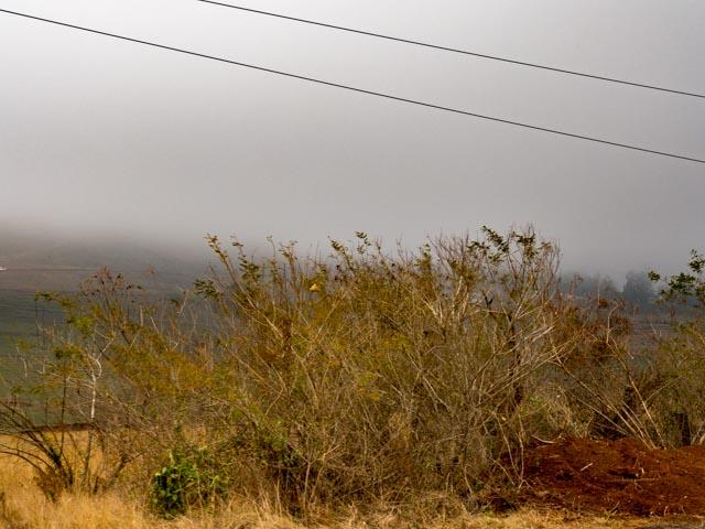 JP_Hluhluwe-34