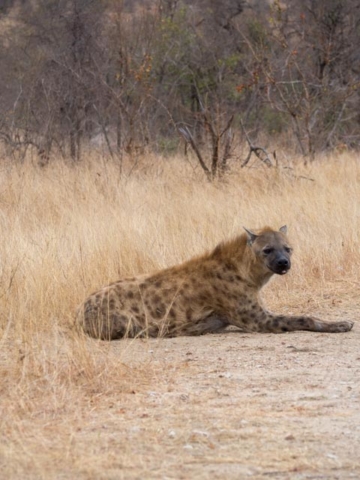 JP_Kruger_Malelane-28