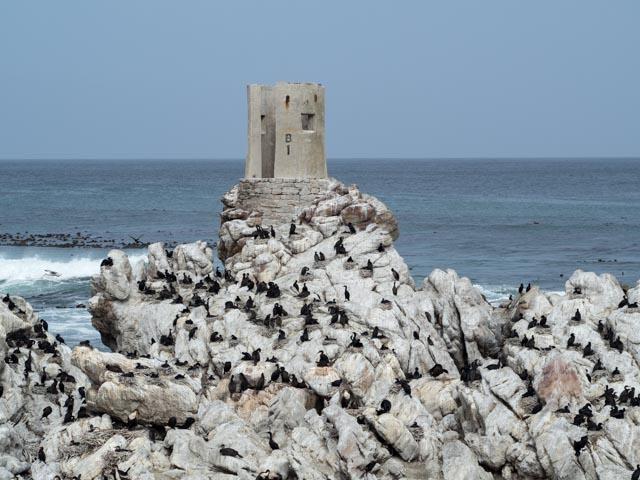 PP_BettysBay-259