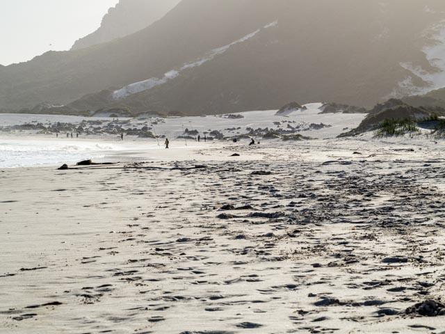 PP_BettysBay-347