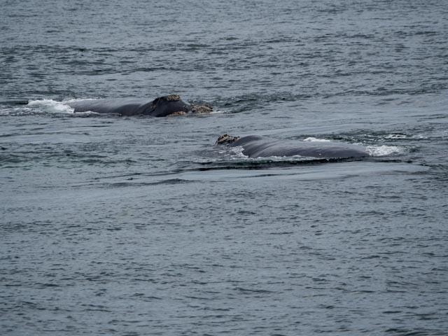 PP_BettysBay-68
