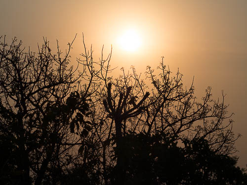 PP_Hazyview-36