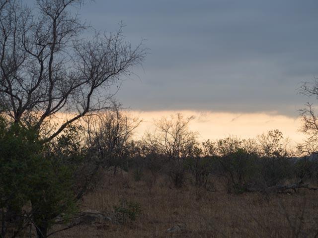 PP_Hluhluwe-3