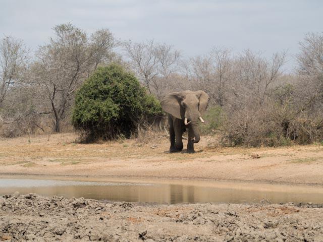 PP_Kruger_Malelane-209