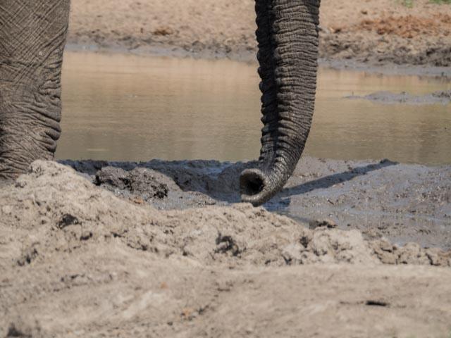 PP_Kruger_Malelane-234