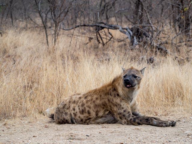 PP_Kruger_Malelane-27