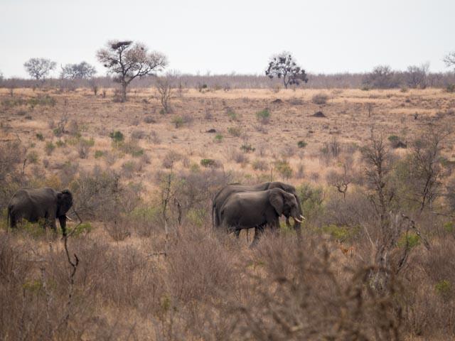 PP_Kruger_Malelane-51